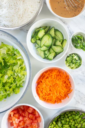 Rice Vermicelli Noodle Bowls With Peanut Sauce Ingredients